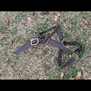 Horse tack bundle